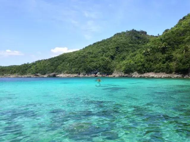 逃离森林边缘